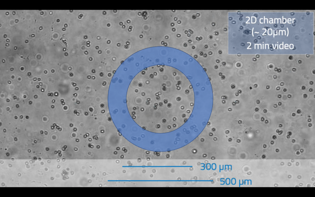 Microalgae have memory (@arXiv)
